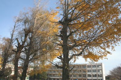 11121023.jpg