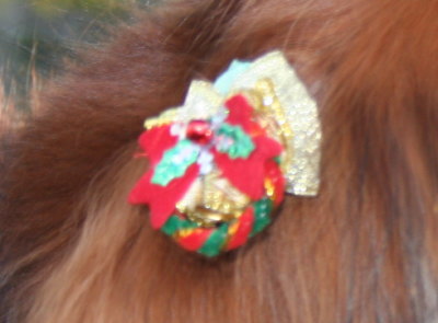 犬用クリスマスリボン画像