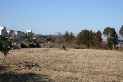野原画像