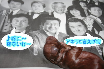 トイプードルレッド犬の出産(お産)画像