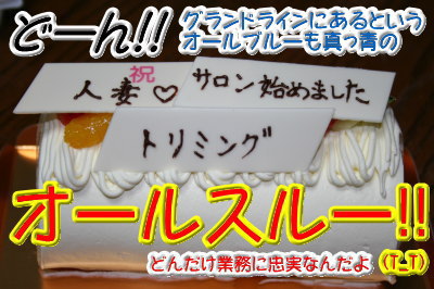 オールスルー画像