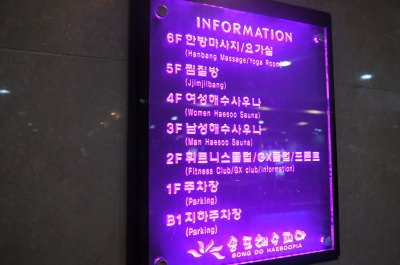 12121255.jpg