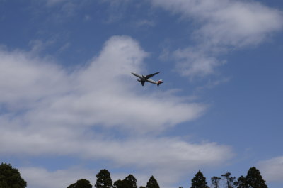 成田空港飛行機画像