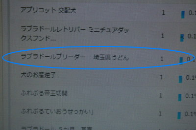 13040104.jpg