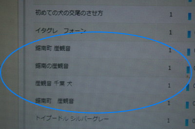 13040106.jpg