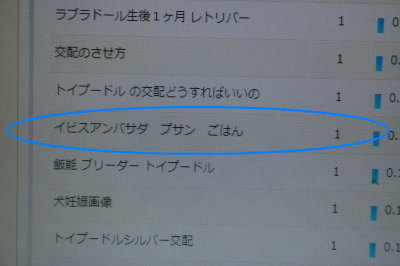 13040111.jpg