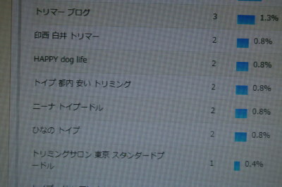 13050504.jpg