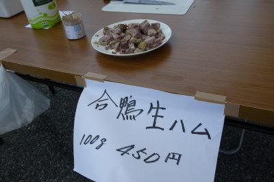 13051306.jpg