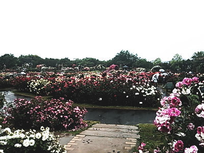 13052001.jpg