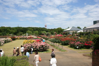 13052004.jpg