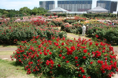 13052005.jpg