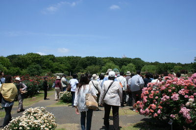 13052013.jpg