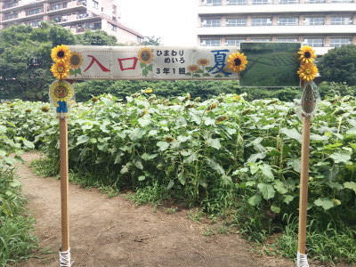 13071702.jpg