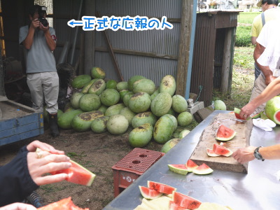 13090909.jpg