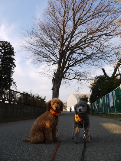 14011309.jpg