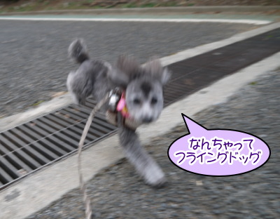 14020907.jpg