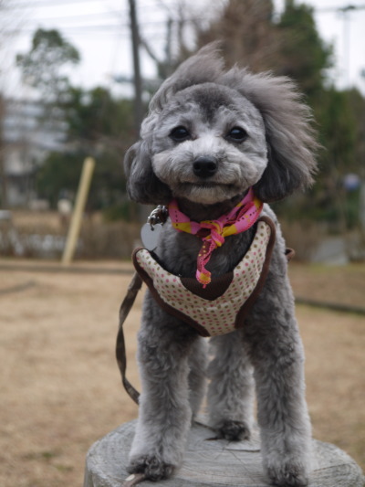 14020920.jpg