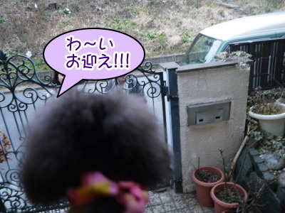 14020921.jpg