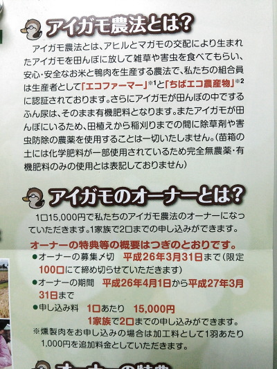 14030405.jpg