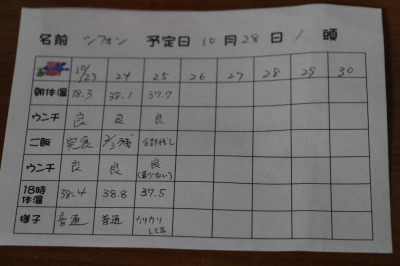 トイプードル出産兆候表画像