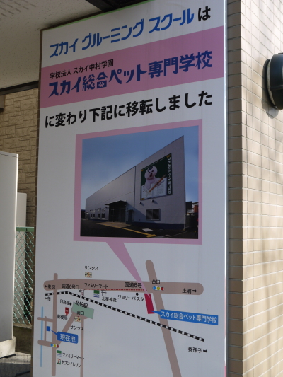 スカイトリミングスクール画像