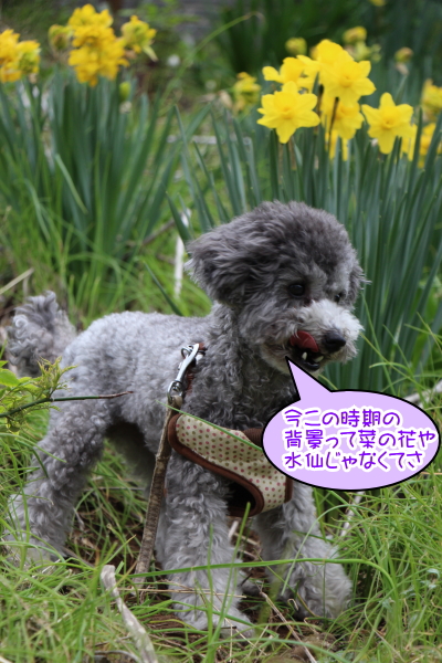 15040303.jpg