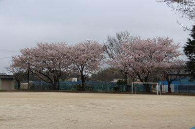 15040310.jpg