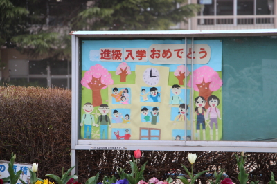 15040311.jpg
