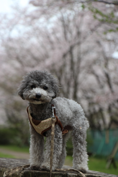 15040314.jpg