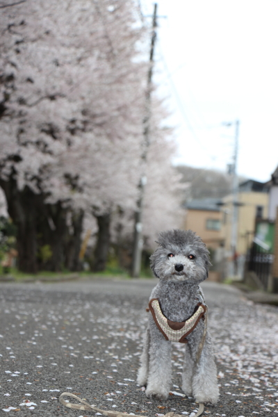 15040317.jpg