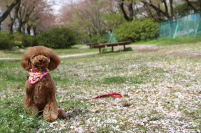 15041106.jpg