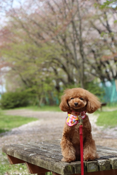 15041107.jpg
