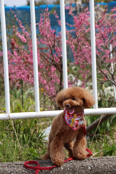 15041112.jpg