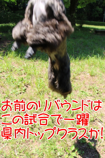 お前のリバウンドはこの試合で一躍県内トップクラス画像
