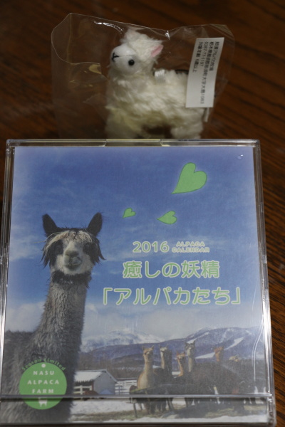 栃木県那須、アルパカ牧場画像