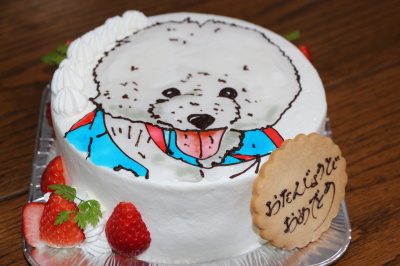 犬のケーキ画像
