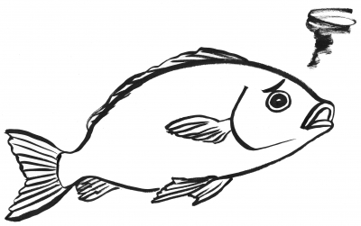 78困った魚1.jpg