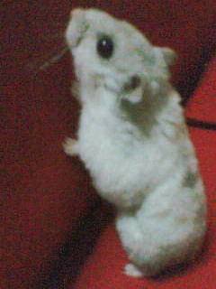 20061031_251509.jpg
