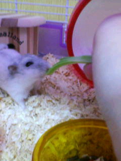 20070218_300585.jpg