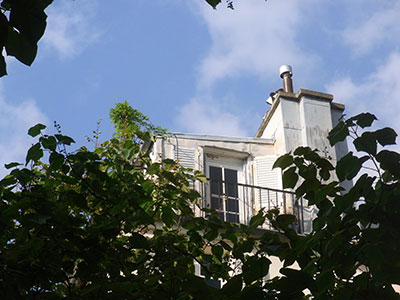 stgerman_1
