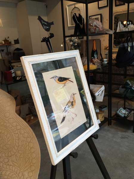 shop_2015_2