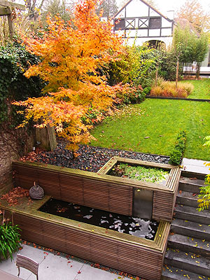 2011年紅葉2
