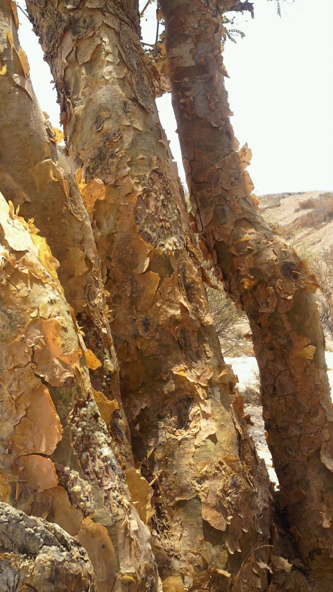 2013070318050001.jpg