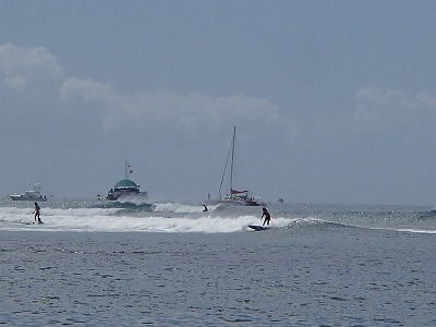 s-P9296858.jpg