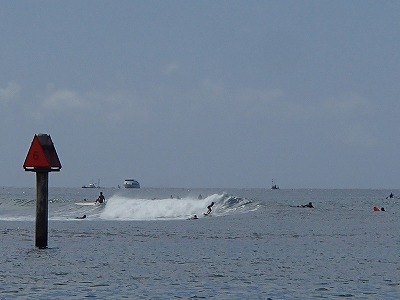 s-P9296859.jpg