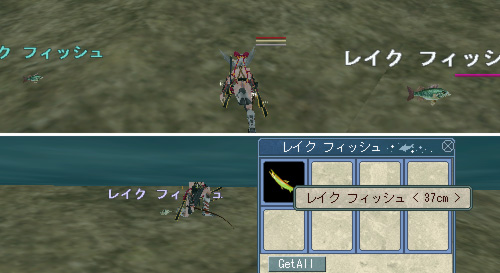 レイクフィッシュ・サイズの違い