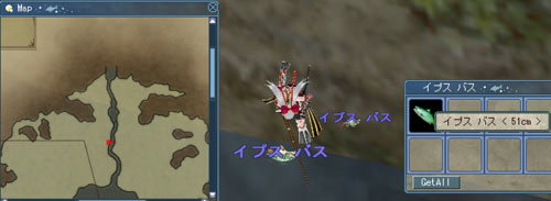 イプスバス51cm