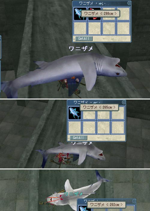 ワニザメサイズ比較