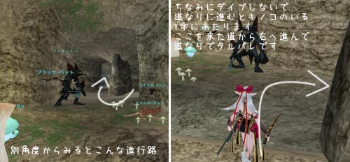 タルパレの行き方