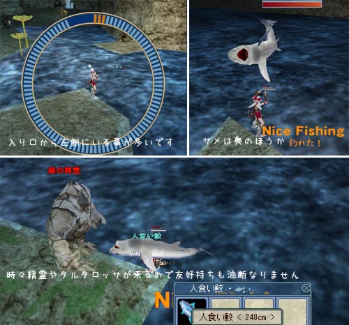 サメの位置